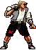 Pixel