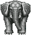 Pixel