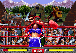 32 MBit Mega Drive Game